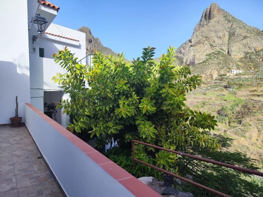 Villa La Casa Vieja Santa Cruz de Tenerife Exterior foto